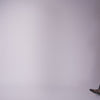 Gibsen Burgundy Velvet Ballet Flats Dolce Vita