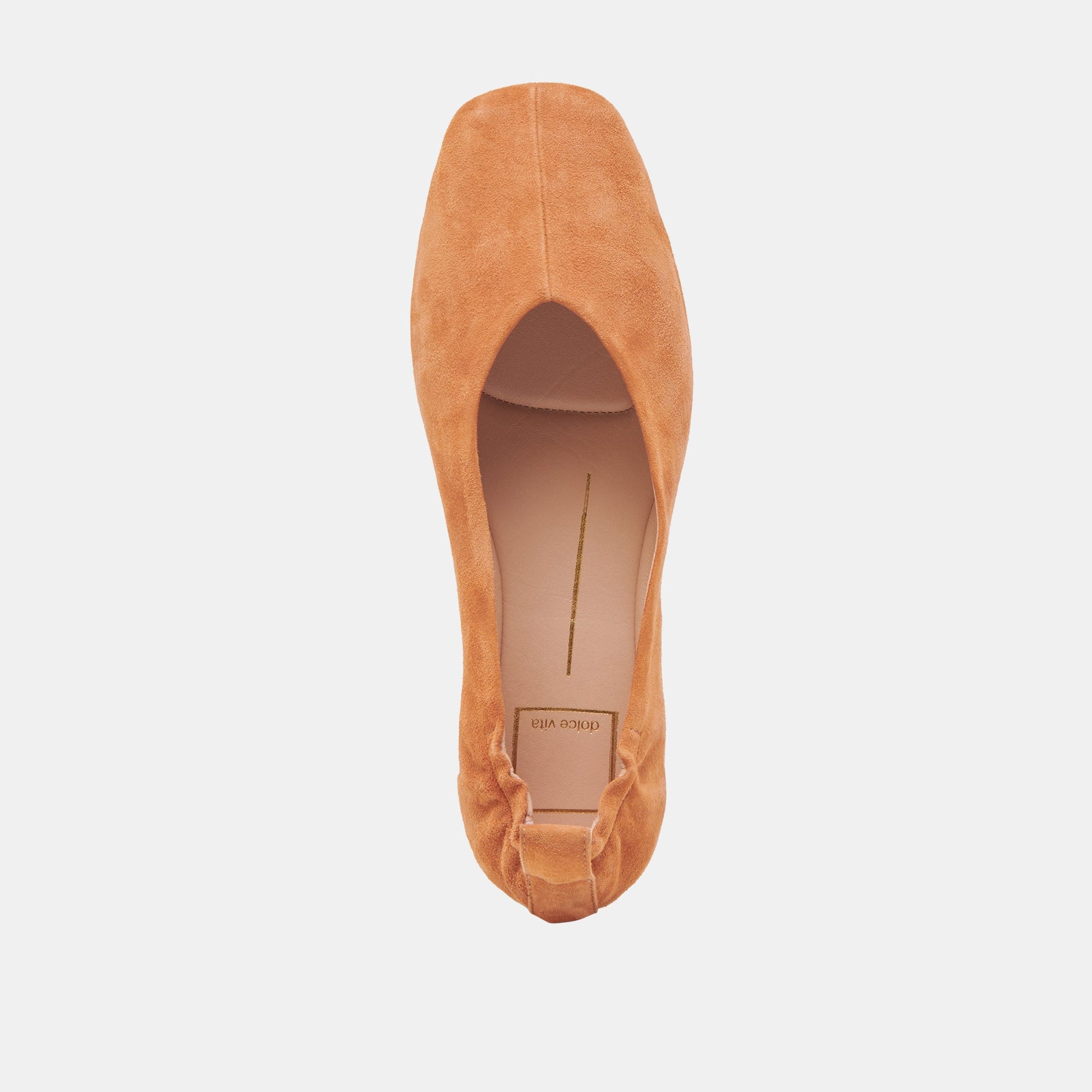 VINNIE BALLET FLATS AMBER SUEDE Dolce Vita