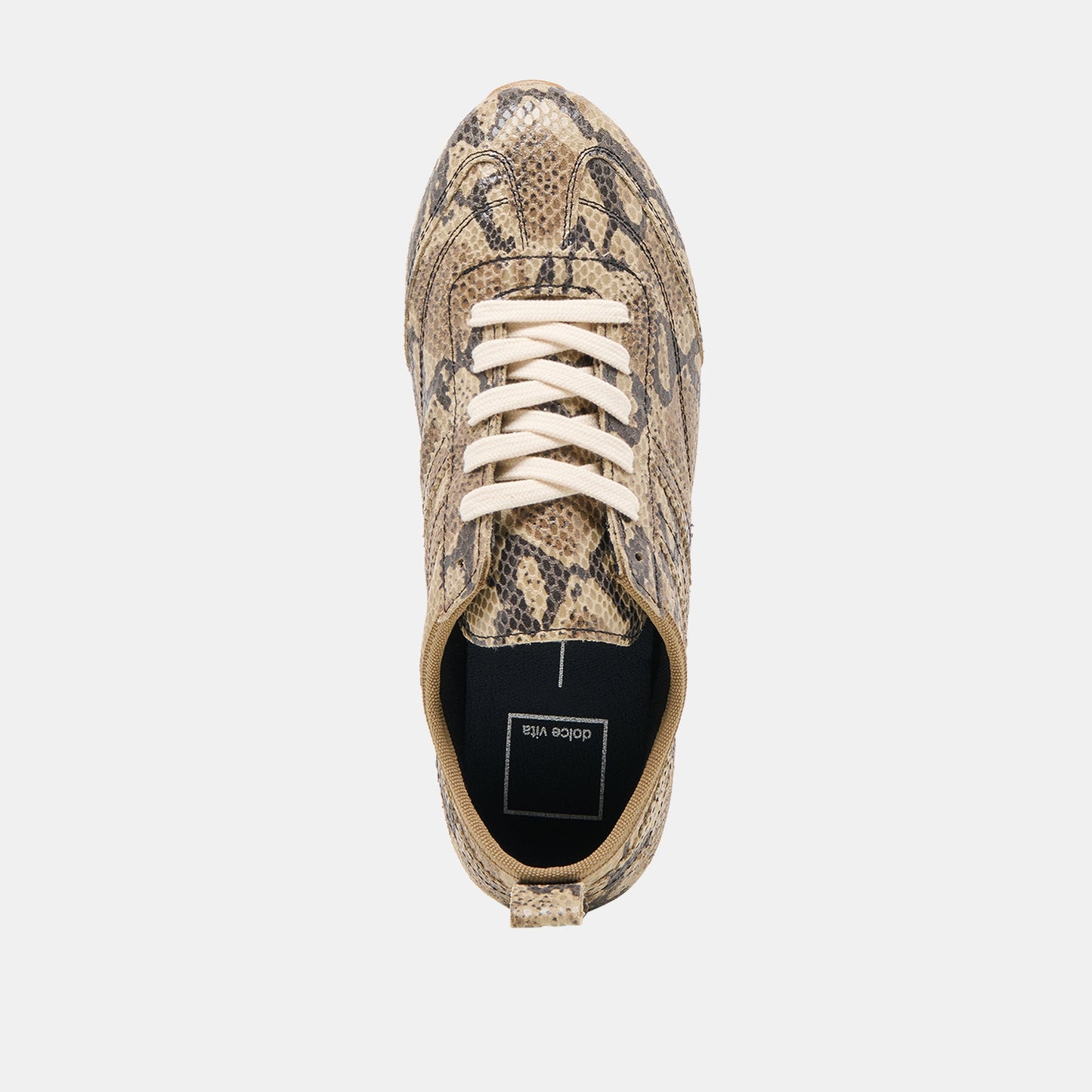 Viper Snake Print Embossed Leather Sneakers Dolce Vita