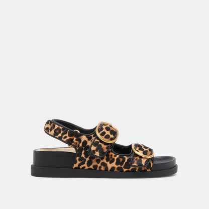 STARLA SANDALS LEOPARD BLACK CALF HAIR Dolce Vita