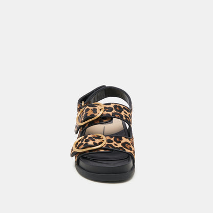 STARLA SANDALS LEOPARD BLACK CALF HAIR Dolce Vita