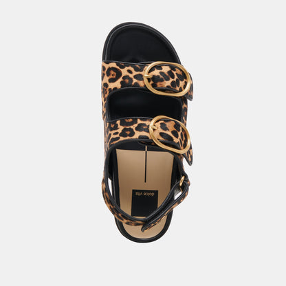 STARLA SANDALS LEOPARD BLACK CALF HAIR Dolce Vita
