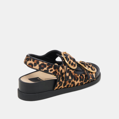 STARLA SANDALS LEOPARD BLACK CALF HAIR Dolce Vita