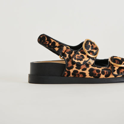 STARLA SANDALS LEOPARD BLACK CALF HAIR Dolce Vita